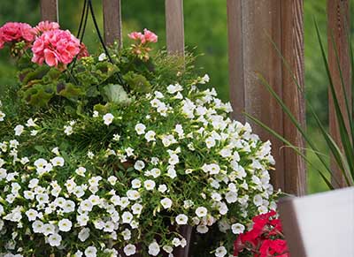 Monster size flower pots